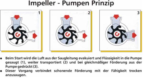 Impellerpumpe - Impellerpumpen Selbstansaugende Pumpen Edelstahl Impeller  Pumpen,Düsen-Pumpen-Online-Shop